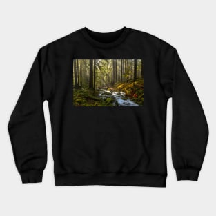 Winding Through The Sol Duc Rainforest Crewneck Sweatshirt